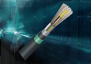 慈溪市三网通信设备厂 gyta6芯室外层绞光缆与灯具销售动态